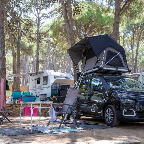 Emplacement - Standard Basic - 45-60m2 - : voiture - Caravane ou camping-car ou tente - Électricité
