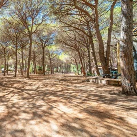 Emplacement - Emplacement Pinada pour camping-cars