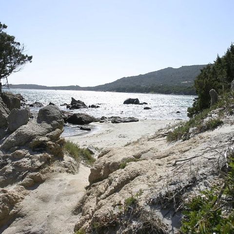 Camping Kevano Plage - Corse du Sud - Image N°3