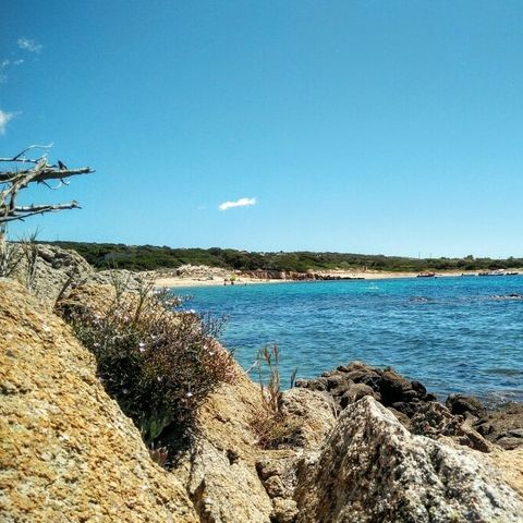 Camping Kevano Plage - Corse du Sud - Image N°2