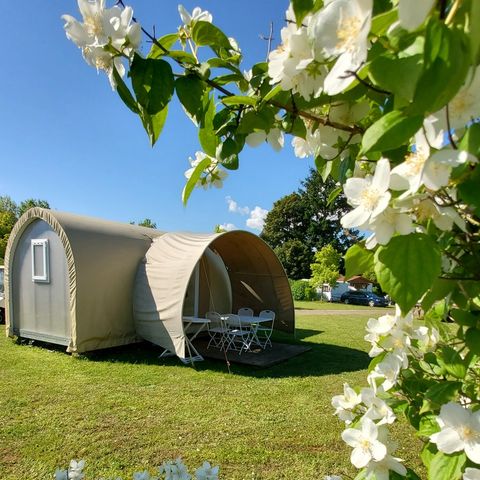TENTE 4 personnes - Tente Ciela Coco Sweet - 2 chambres (sans sanitaire)