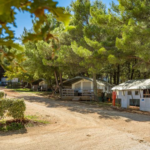 TENTE TOILE ET BOIS 5 personnes - SAFARITENT (SANS SANITAIRES)