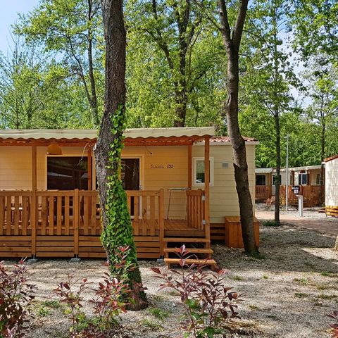MOBILHOME 5 personnes - Sequoia