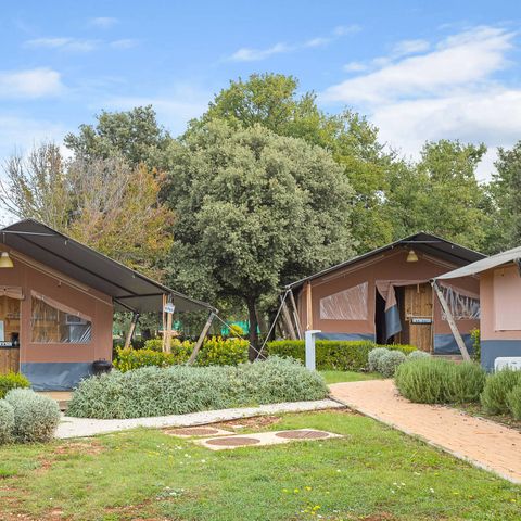 TENTE TOILE ET BOIS 4 personnes - Tente Safari Lodge (6P)