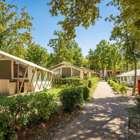 TENTE TOILE ET BOIS 4 personnes - Bijela Uvala - Tente safari + sanitaires