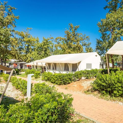 Tente en toile et en bois 4 personnes - Bijela Uvala - Tente safari + sanitaires