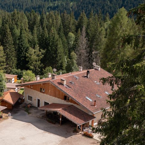 Club del Sole Val di Fiemme Easy Camping Village - Camping Trente - Image N°5