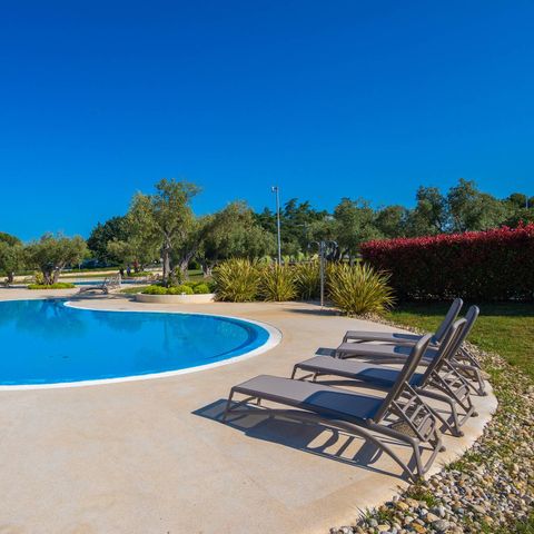 Camping Polari - Istrie - Image N°3