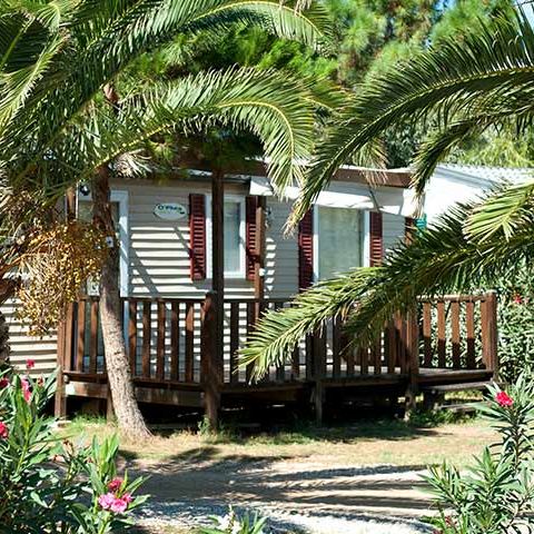 MOBILHOME 6 personnes - 3 chambres (C7)