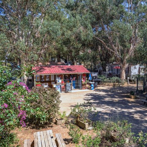 Camping U pezzo - Corse du Nord - Image N°2