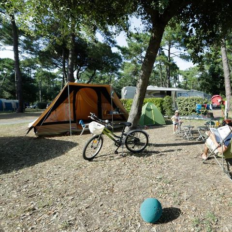 Emplacement - Forfait Privilège (1 tente, caravane ou camping-car / 1 voiture / électricité 10A) + Raccordement eau et évacuation des eaux usées