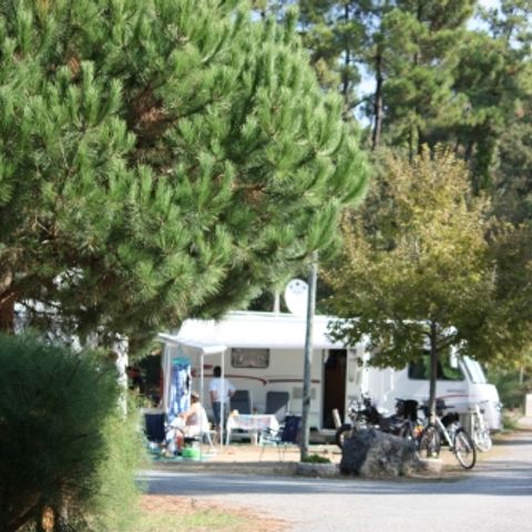 Emplacement - Forfait Confort (1 tente, caravane ou camping-car / 1 voiture / électricité 10A)