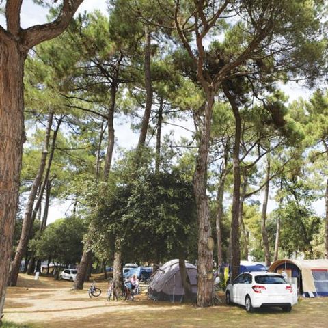 Emplacement - Forfait Confort (1 tente, caravane ou camping-car / 1 voiture / électricité 10A)