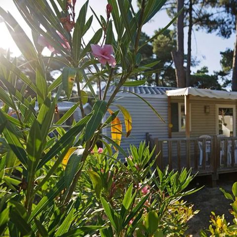 MOBILHOME 6 personnes - Confort 2 chambres - 4/6 personnes 