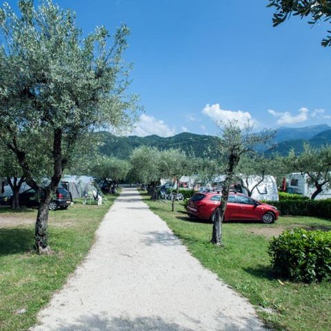 Emplacement - Emplacement Standard - 65m² - 3 AMP