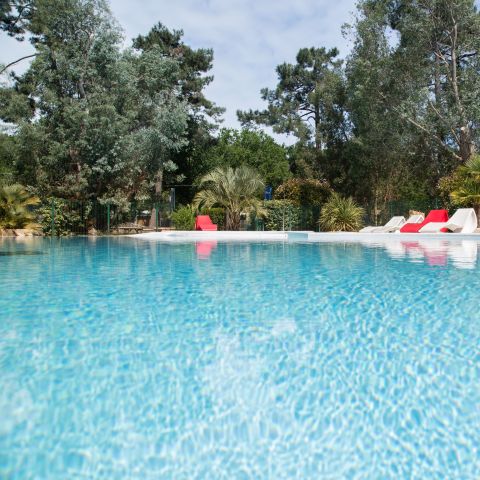 Nicoll's Camp/Pins - Gironde - Image N°2