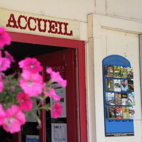 Camping la Cascade - Yonne - Image N°4