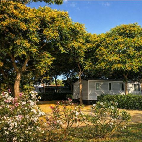 MOBILHOME 6 personnes - MH PREMIUM 2