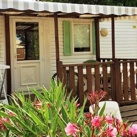 MOBILHOME 4 personnes - CONFORT SAFARI (terrasse couverte)