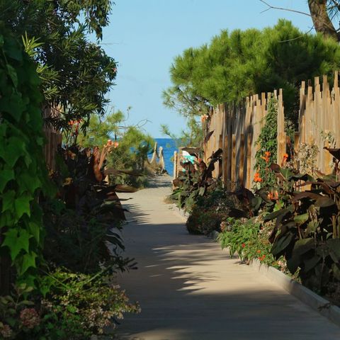 Camping San Damiano - Corse du Nord - Image N°6