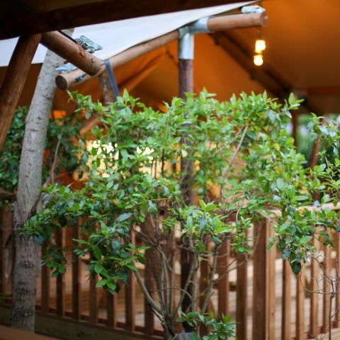 TENTE TOILE ET BOIS 4 personnes - Lodge Safari 27 m²