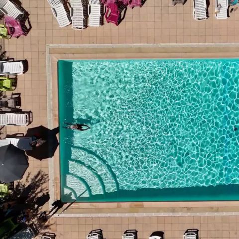 Flower Camping l'Epi Bleu - Alpes-de-Haute-Provence - Image N°3