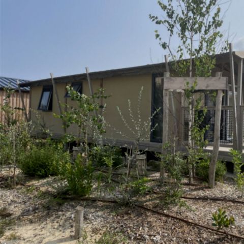 Tente en toile et en bois 5 personnes - TENTE LODGE "DUNE" (ext. toile) 2 chb. 4/5 pl.