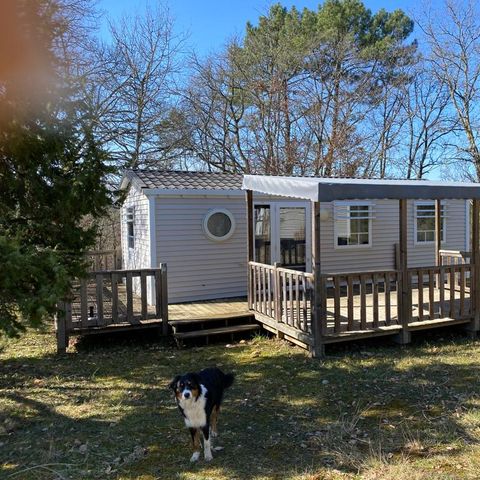 MOBILHOME 6 personnes - Familial Classic ++ Ohara 834 3Ch