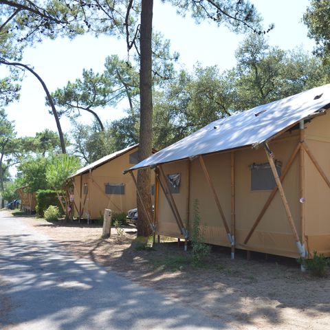 Camping Les Pins d'Oléron  - Charente-Maritime - Image N°4