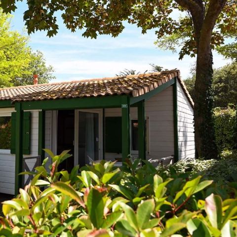 CHALET 5 personnes - MATTHIOLE