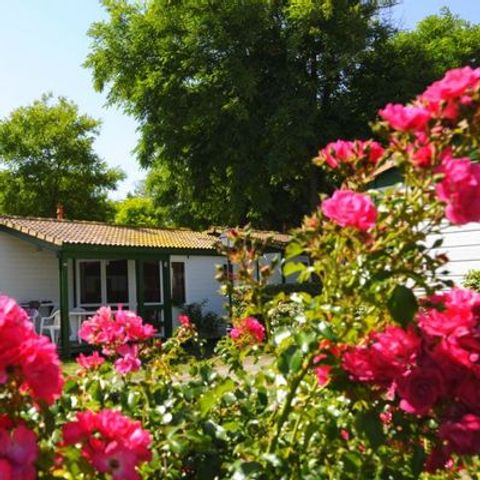 CHALET 4 personnes - YUCCA