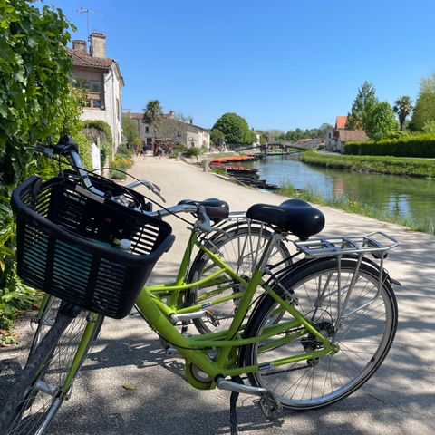 Camping la Venise Verte - Deux-Sèvres - Image N°5
