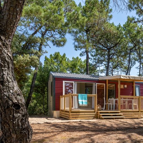 MOBILHOME 4 personnes - Cottage Privilège TV LV - 2 chambres - 4 personnes