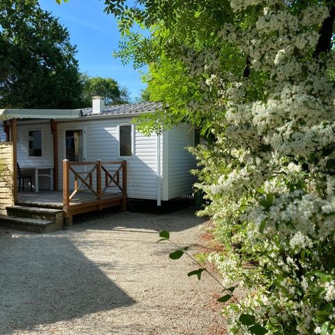 MOBILHOME 6 personnes - Mobil-home Confort - 3 chambres