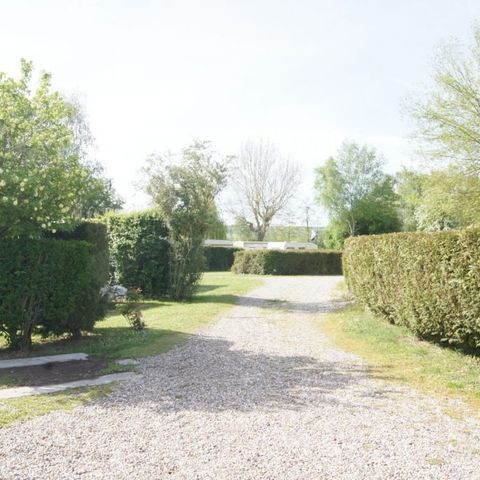 Camping La Peupleraie - Seine-et-Marne - Image N°6