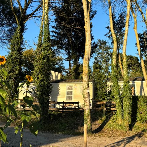 MOBILHOME 1 personne - 02-Mobil-Home Mitoyen Standard 17m2 (1ch - 1 pers.) + TV + Clim - prix pour 2 personnes