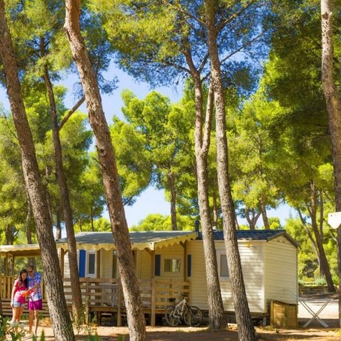 Camping AEC Vacances Les Dauphins - Var - Image N°6