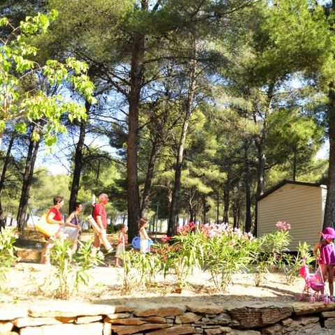 Camping AEC Vacances Les Dauphins - Var - Image N°5