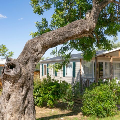 MOBILHOME 6 personnes - CASITA LIMON - 26m²- 2 chambres