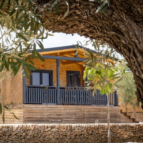 MOBILHOME 6 personnes - TROPICAL SOL - 36m²- 2 chambres