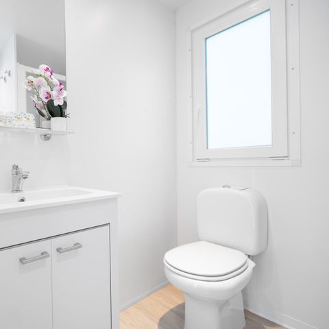 MOBILHOME 4 personnes - Lodge Comfort Dog