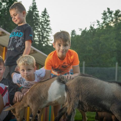 Kleinenzhof Family Resort - Bade-Wurtemberg - Image N°4