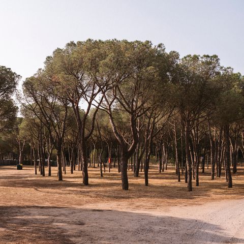 Emplacement - Emplacement PLUS pour camping-car (Tentes non autorisées)