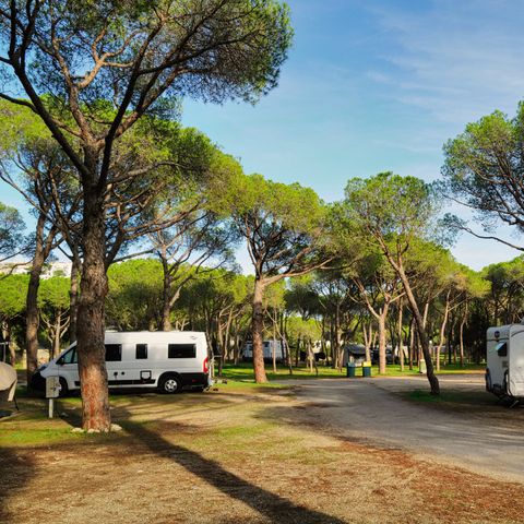 Emplacement - Emplacement de camping pour camping-car et caravane (Tentes non autorisées)