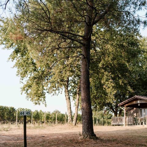 CHALET 5 personnes - (C02)