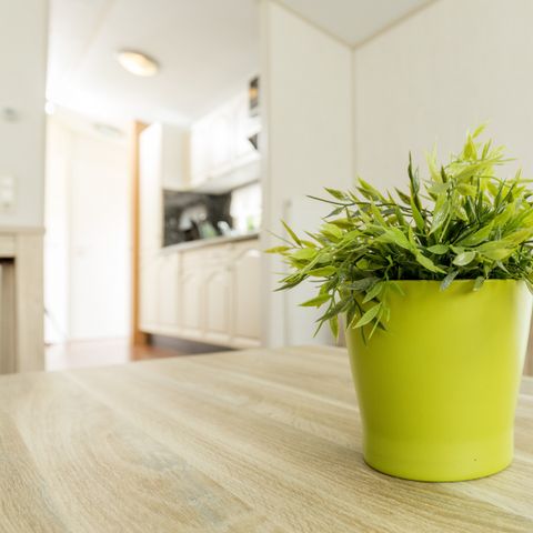 MOBILHOME 4 personnes - Villa couleur