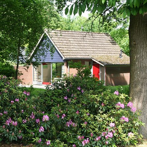 BUNGALOW 4 personnes - IJssel