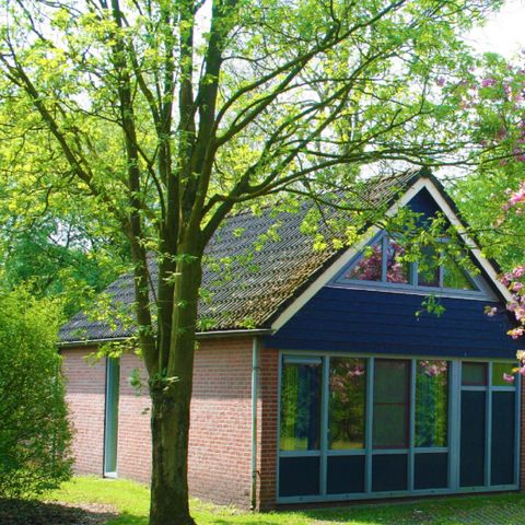 BUNGALOW 4 personnes - IJssel Comfort