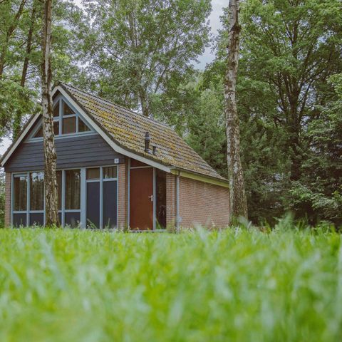 BUNGALOW 4 personnes - IJssel Comfort Plus