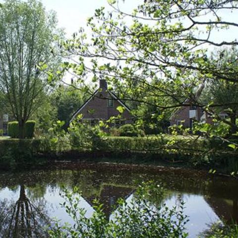BUNGALOW 6 personnes - Schipbeek